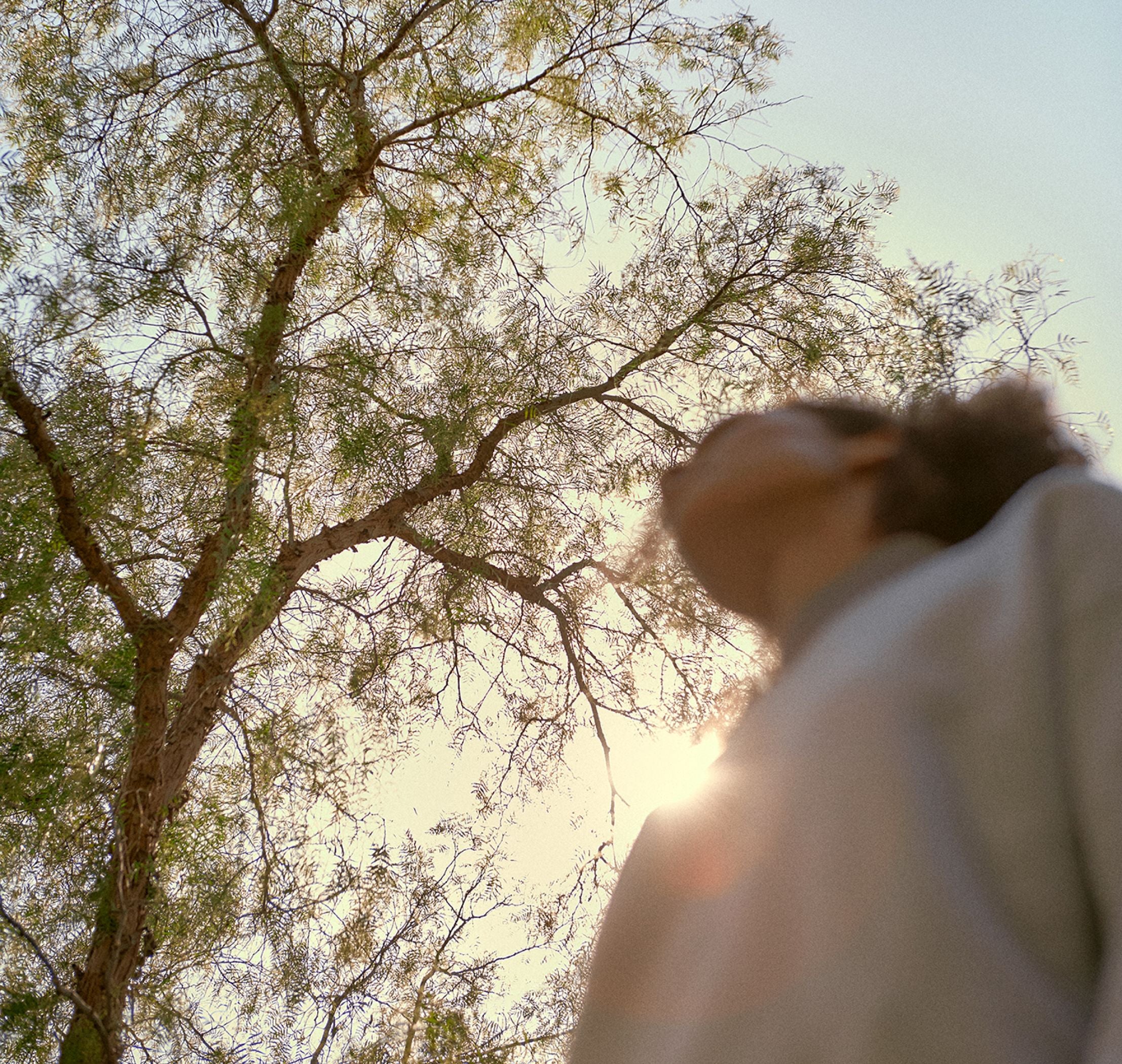 Person looking up at trees and sunlight outdoors, symbolizing a commitment to doing better beyond business as usual
