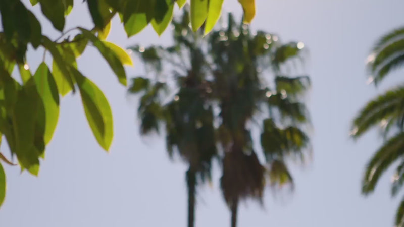 Video showing people relaxing with Outer outdoor furniture in natural garden and poolside settings, highlighting nature-inspired outdoor living